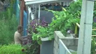 vinzarea alcoulului in orasul balti, 10 lei 
