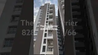 Pigeon Net Installation service in Pune 8282828155 | Bird Net | The Bird Barrier