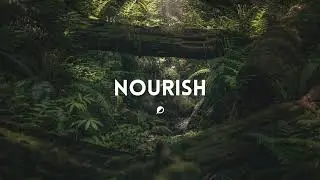 Mereba Type Beat | NAO Type Beat | Tems Type Beat - 