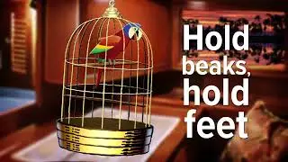 Flocabulary - The Parrot