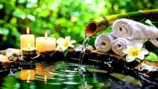 Relaxing Piano Music 🌿 Sleep Music, Calming Music, Meditation Music and Water Nature Sounds, Bamboo