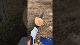 Fast Folding Saw #FoldingSaw