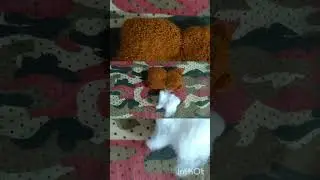 how to make a easy rubber band  mini teddy bear 🐻