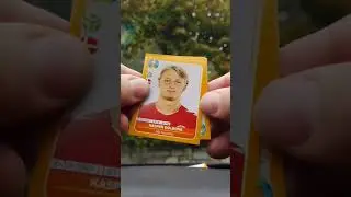 #euro2020 #preview #panini