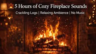 Cozy Fireplace Sounds for Deep Sleep 🔥 | 5 Hours | No Music