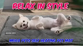 Relax in Style  -  MORA PETS Self Heating Pet Mat