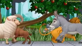 Wild Animals RACING Through the Amazon Jungle!