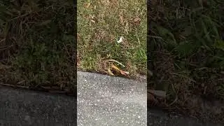 Someone/Somebody is littering. (THEY LITTERED ON MY PRIVATE PROPERTY!)