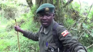 MGAHINGA GORILLA NATIONAL PARK