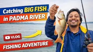 বরশিতে শিকার ২৩ কেজি কোরাল মাছ #Fish