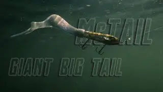 Giant BigTail By Svartzonker