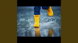 Drink The Rain