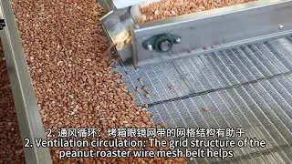 Elevate Your Peanut Roasting Skills with Wire Mesh Belt Unparalleled Heat Efficiency and Consistency