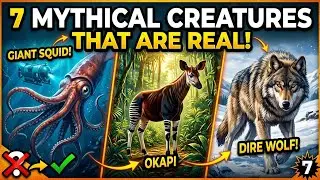 7 Mythical Creatures That Turned Out to Be Real