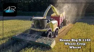 KRONE Big X 1180 | 5mm chop Whole Crop Wheat | 1156hp Chopping