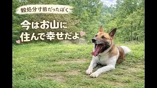 こんなぼくです。よろしくね【自己紹介】
