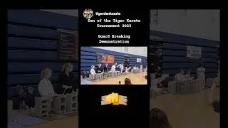 Karate #Tournament🥋💥 2023 - #Boardbreaking #Demonstration 🐅🤜👊 #martialartist #karateskills