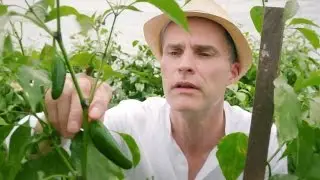M&S Food: The World of Chillies