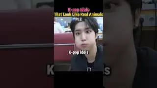 K-pop Idols That Look Like Real Animals Pt.2