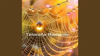 Telara&ntilde;a radiante