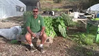 Ways to Prevent Erosion by Covering Bare Soil With Mulch or Straw
