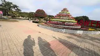 Family Trip to Thehan Korea Flower 🌺 Park &ndash; Fun Activities & Hidden Spots!