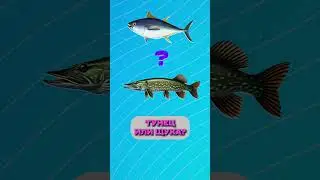 РЫБА МЕЧТЫ юного рыбака! #рыба #рыбалка #юныйрыбак