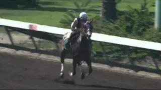 Watch Kentucky Derby & Preakness winner California Chrome Work