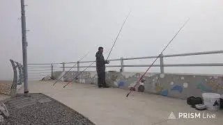 • 2026년 1월 16일 • 대산 벌말 원투낚시 ( ´-ω-) 겨울 어때..