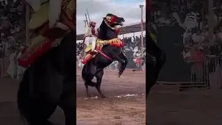 الزين و الجمال اللهم بارك ❤️&zwj;🔥 🐴 🇲🇦  😍 #cavalier #خيل #tbourida
