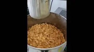 BD65 cold press machine  apricot core oil extraction