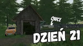 Zainwestowałem w OWCE! [Farming Simulator 22] Dzień 21