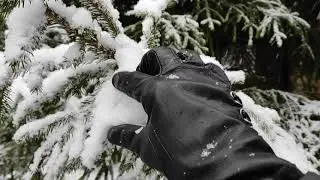 ASMR the first snow fell. crunch of snow. snow on the grass. apples in the snow.