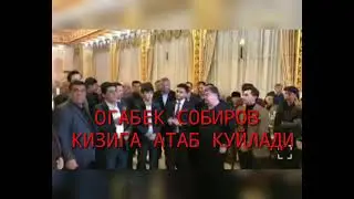 Огабек Собиров кизини туйида куйламокда!