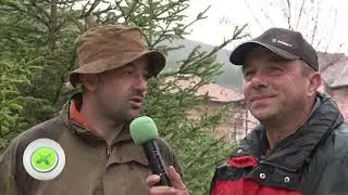 Грижа за дивеча в Бяга и Брестовица