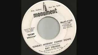 1969 Sunday Mornin' Comin' Down - Ray Stevens (mono radio station 45)