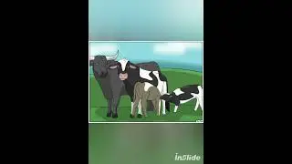 Back on the Farm - Cow TF (por Truttle y Rex Equinox)