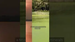The mystery of the Red Color Lake: Discover its history.