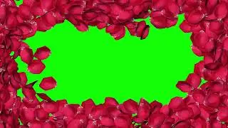 Rose petal reveal hidden thing 3d rendering chroma key