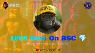 Next 100X Gem 💎 !!! Baby Feg #smartdefi - CA And How To Buy ? Full Video #crypto