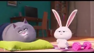 Snowball meet daisy