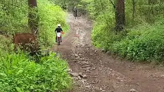 steep hill climb at baskerville Hall with Lee Walters ORT
