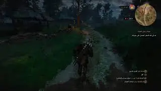The Witcher 3 wild hunt Ng+ part 2  #live #shorts #games