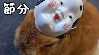 節分♪おかめのお面で福を呼び込め！