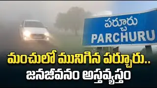 మంచులో మునిగిన పర్చూరు.. జనజీవనం అస్తవ్యస్తం