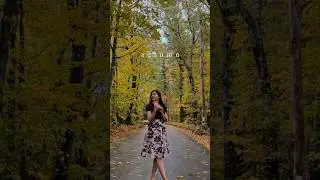First fall in USA. #Shorts #viralvideo #usa #autumn #fall #internationaltrip #travel #trending short