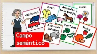 CAMPO SEMANTICO  4