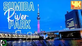 SUMIDA PARK | SUMIDA RIVER AT NIGHT | 隅田川 | JAPAN WALK | 4K @NOYJITV