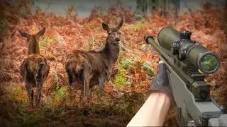 Deer Hunting Offline Games