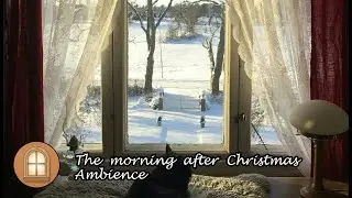 The morning after Christmas | Peaceful Cozy Winter Morning Ambience